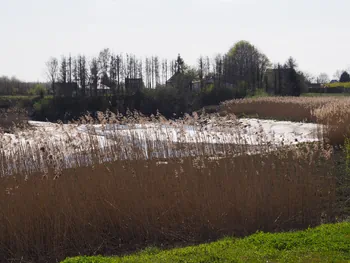 Kalkense Meersen (België)